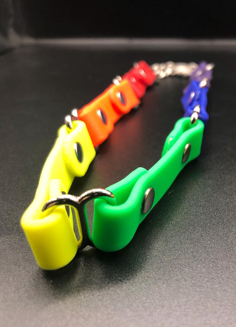 Peut inclure: Un collier de chien en silicone arc-en-ciel avec des accessoires en m&eacute;tal argent&eacute;. Le collier est compos&eacute; de pi&egrave;ces individuelles en silicone aux couleurs de l'arc-en-ciel, reli&eacute;es par une cha&icirc;ne argent&eacute;e.