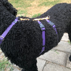 Biothane 2-Strap Dog Harness