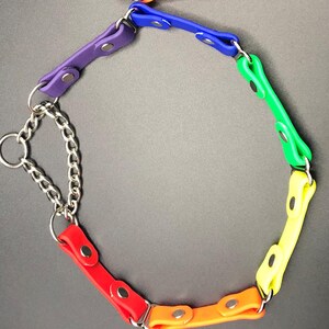 Peut inclure: Un collier pour chien arc-en-ciel avec une cha&icirc;ne argent&eacute;e. Le collier est compos&eacute; de plusieurs morceaux de caoutchouc color&eacute; reli&eacute;s entre eux par des anneaux m&eacute;talliques argent&eacute;s.