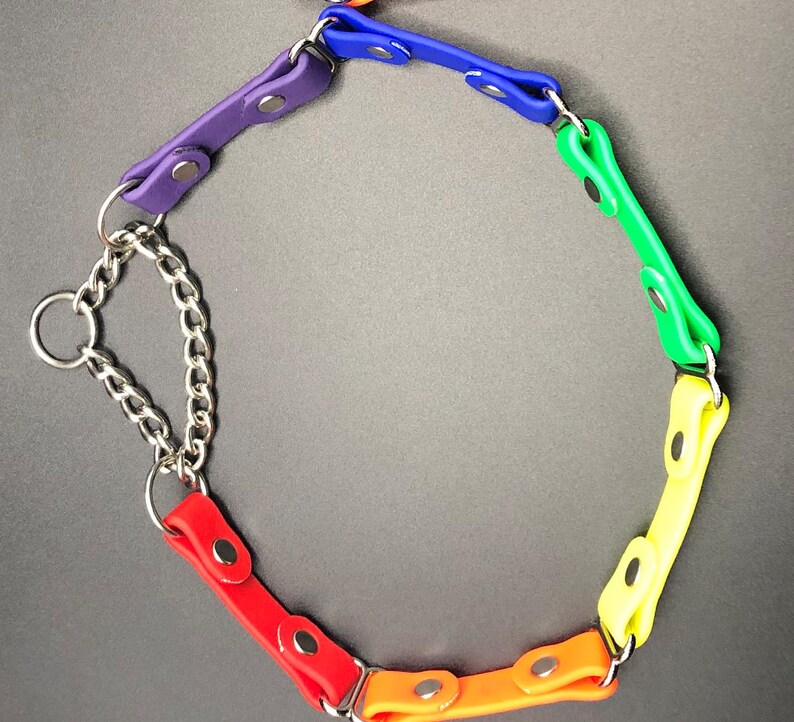 Peut inclure: Un collier pour chien arc-en-ciel avec une cha&icirc;ne argent&eacute;e. Le collier est compos&eacute; de plusieurs morceaux de caoutchouc color&eacute; reli&eacute;s entre eux par des anneaux m&eacute;talliques argent&eacute;s.