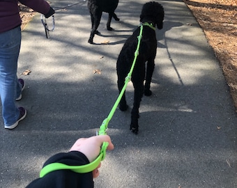 Multi-use Segment Leash