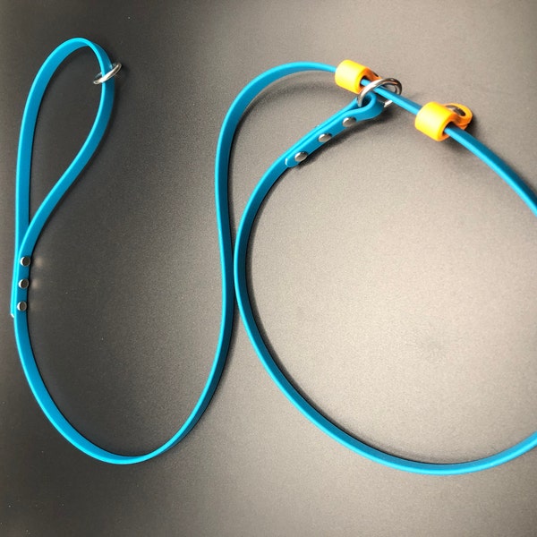 Biothane Slip Leash