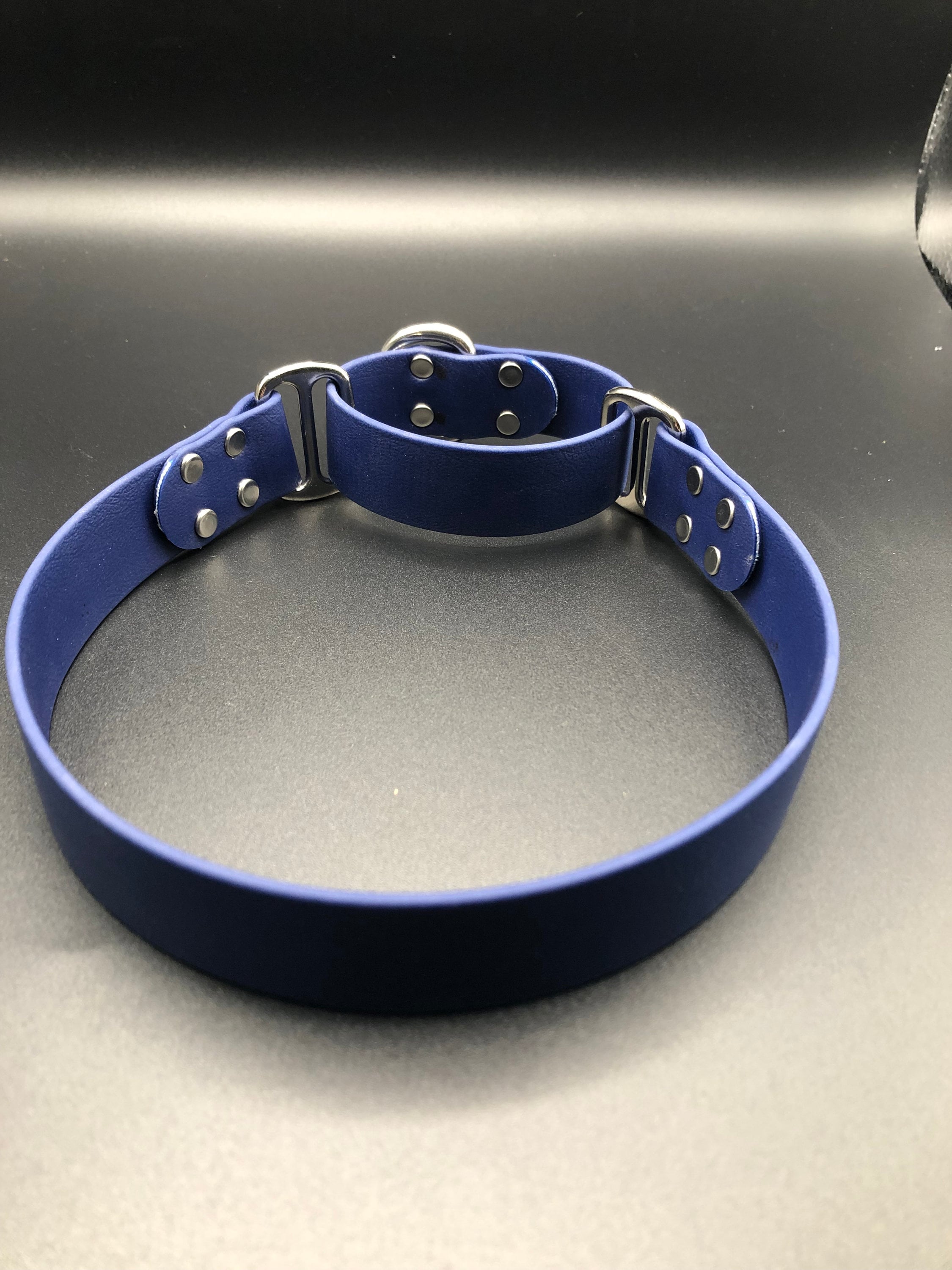 Martingale Biothane Collar Etsy