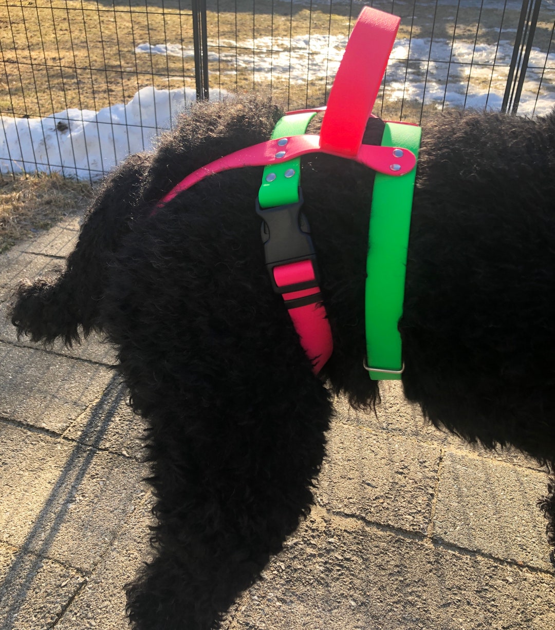 Biothane Hind End Mobility Harness - Etsy