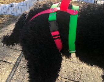 Biothane Hind End Mobility Harness