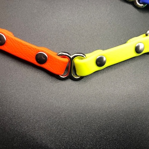 Peut inclure: Gros plan sur un collier de chien color&eacute; avec des ferrures en m&eacute;tal argent&eacute;. Le collier est compos&eacute; de diff&eacute;rentes bandes de couleur orange, jaune, vert et bleu.