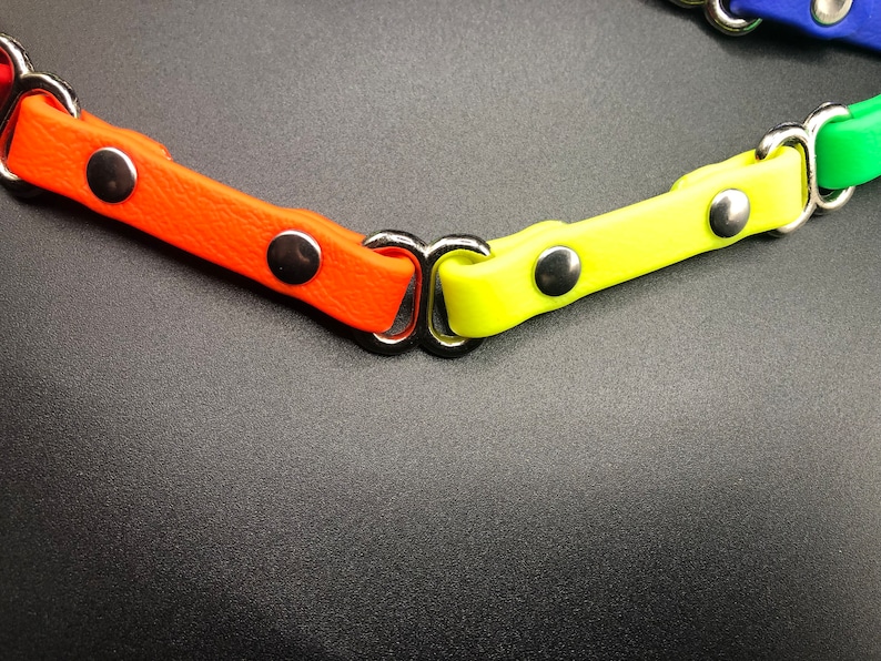 Peut inclure: Gros plan sur un collier de chien color&eacute; avec des ferrures en m&eacute;tal argent&eacute;. Le collier est compos&eacute; de diff&eacute;rentes bandes de couleur orange, jaune, vert et bleu.