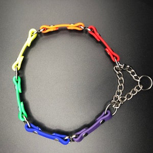 Peut inclure: Un collier de chien arc-en-ciel avec une cha&icirc;ne argent&eacute;e et un anneau argent&eacute;.