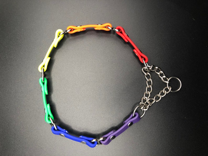 Peut inclure: Un collier de chien arc-en-ciel avec une cha&icirc;ne argent&eacute;e et un anneau argent&eacute;.