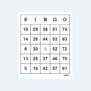 Bingo Cards  - 1 to 75 Bingo Cards 2 Per Page – 500 pages / 1000 Cards – Printable Download