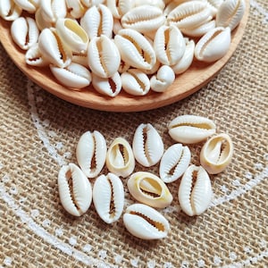 Può includere: Una collezione di conchiglie di cauri bianche, alcune con una leggera sfumatura gialla, disposte in una ciotola di legno e sparse su una superficie di juta.