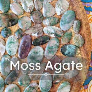 Op de afbeelding: Een verzameling gepolijste mosagaat edelstenen in diverse vormen, waaronder ovaal en rond. De stenen tonen een mix van groene, bruine en heldere kleuren. De tekst "Moss Agate" is over de afbeelding geplaatst.