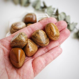 Op de afbeelding: Vijf gladde, bruin en beige gestreepte, getrommelde stenen in een hand. De stenen zijn gepolijst en hebben een natuurlijke, aardse uitstraling.