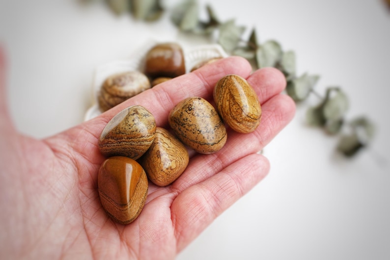 Op de afbeelding: Vijf gladde, bruin en beige gestreepte, getrommelde stenen in een hand. De stenen zijn gepolijst en hebben een natuurlijke, aardse uitstraling.