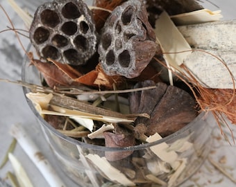 Shoreline Pot Pourri | Aquatic Coastal Scented Botanicals | Rosemary Spearmint Oakmoss | Ocean Fresh Home Fragrance | Coastal Decor