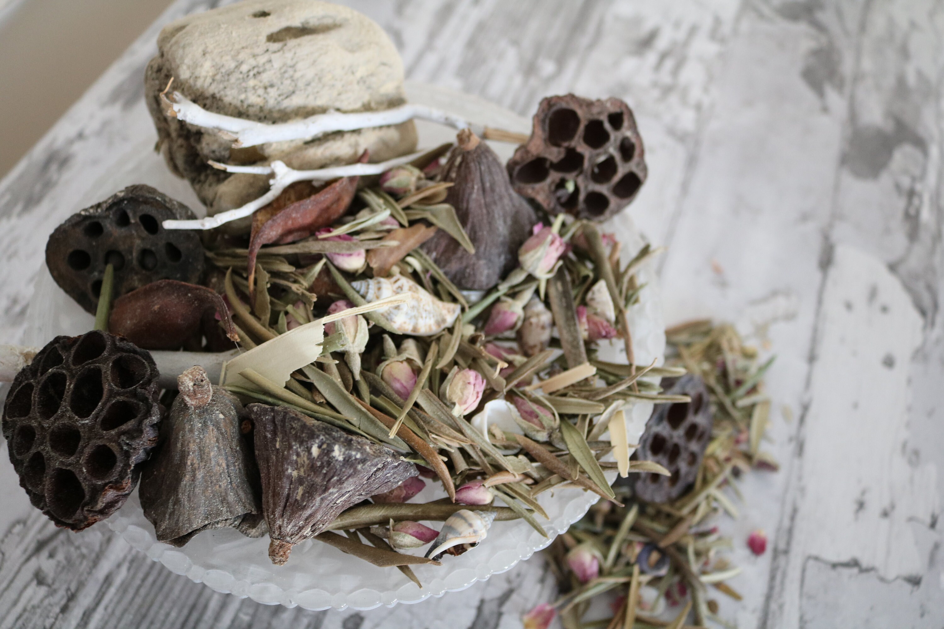 Promenade Pot Pourri | Floral Seaside Botanicals | Lemon Rose Cyclamen | Fresh Coastal Home Fragrance | Romantic Decor