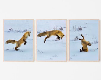 Red Fox Hunting in Snow Set of 3 Prints, Fox Wall Art, Jumping Fox Painting, Set of Three Prints, Gallery Wall Set, Downloadable Prints