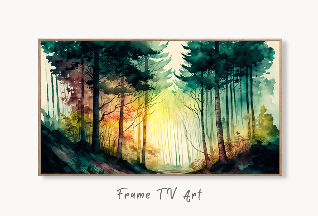 Schwarz-Weiß Wald Leinwandbild - 40x60cm Natur Landschaft