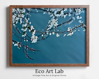 White Blossom Tree Branch Printable Wall Art. Cherry Blossom Sakura Tree Floral Wall Art Print. Blue Wall Art Floral Poster Botanical Art