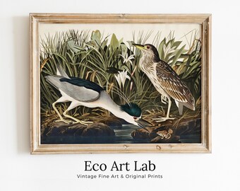 Vintage Tropical Bird Printable Wall Art. Night Heron Wildlife Nature Colorful Tropical Decor. Instant Download Bird Poster Art Print