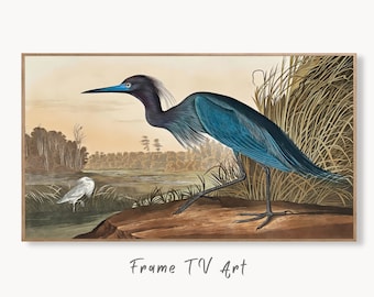 Samsung Frame TV Art 4K Vintage Blue Heron Tropical Bird Painting. Samsung TV Art Vintage. Digital Download. Nature Art for Samsung Frame TV