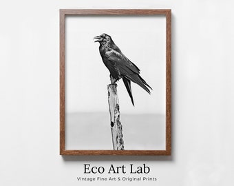 Printable Crow Painting. Crow on Branch Wall Art Instant Download Raven Decor. Black Crow Painting. Digital Raven Print Downloadable Art