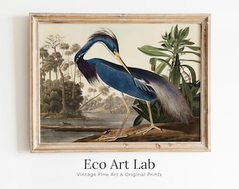 Blue Heron Vintage Tropical Bird Printable Wall Art. Wildlife Nature Colorful Tropical Decor. Instant Download. Bird Poster Art Print
