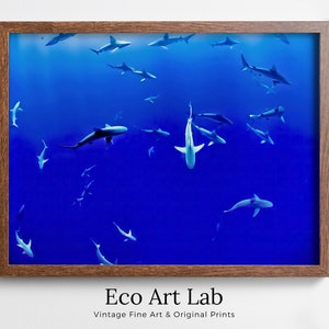 Sharks in Deep Blue Water Instant Download Shark Wall Art Poster. Horizontal Printable Wall Art Shark Decor. Nature Wall Art Nautical Decor