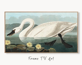 Samsung Frame TV Art 4K Tropical Bird White Swan Vintage Painting. Samsung TV Art Vintage Digital Download Nature Art for Samsung Frame TV