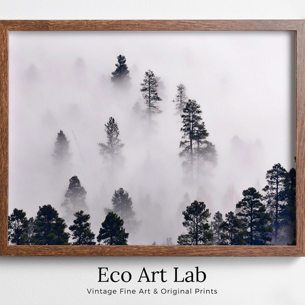 Misty Forest Fog Wall Art. Foggy Forest Misty Print. Modern Home Decor Forest Photography Art. Woodland Printable Wall Art. Instant Download