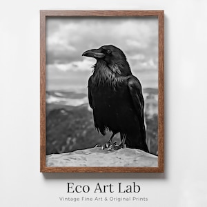 Raven Sitting on Rock Printable Digital Bird Painting. Instant Download Crow Painting Raven Art. Black and White Printable Wall Art Poster