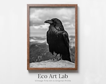 Raven Sitting on Rock Printable Digital Bird Painting. Instant Download Crow Painting Raven Art. Black and White Printable Wall Art Poster