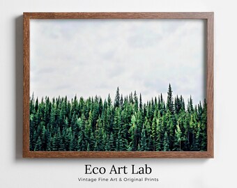 Green Forest Print Nature Wall Art. Pine Trees Printable Photography. Forest Print, Modern Decor, Forest Photography, Green Forest Landscape