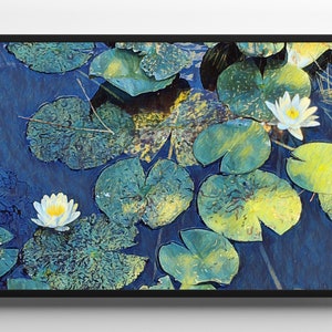 Op de afbeelding: Een schilderij van witte waterlelies met gele centra, drijvend op een blauwe vijver met groene waterleliebladeren. De waterlelies zijn scherp, terwijl de waterleliebladeren licht wazig zijn.
