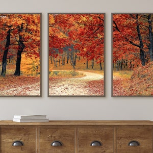 May include: Three framed prints depicting a path winding through an autumnal forest. The trees are a mixture of red, orange, and yellow leaves. The path is covered in fallen leaves.