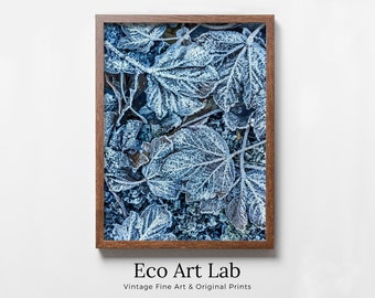 Frosty Morning Leaves Printable Wall Art. Leaves Print Winter Abstract Wall Art. Home or Office Decor Nature Print, Digital Instant Download