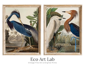 Set of 2 Prints Herons Vintage Tropical Birds. Wildlife Nature Colorful 2 Piece Wall Art. Fine Art Prints. Instant Download. Printable Art