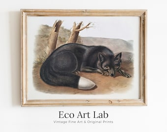 Black Fox Wall Art, Vintage Painting. Vintage Animal Print. Printable Wall Art, Digital Download. Woodland Forest Art. Nature Print