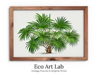 Vintage Palm Tree Drawing Print Tropical Wall Art. Palm Tree Decor, Retro Poster INSTANT DOWNLOAD Botanical Illustration, Digital Print #08