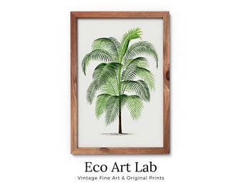 Vintage Palm Tree Drawing Print Tropical Wall Art. Palm Leaves Tree Decor, Retro Nature Poster INSTANT DOWNLOAD Botanical Illustration #17