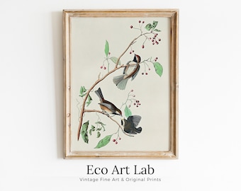 Vintage Three Birds Perched on Branch Painting. Instant Download Printable Wall Art. Bird Painting. Birds Decor Wall Art Prints. Bird Poster