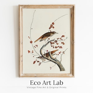 Cuadro vintage de pájaros posados en la rama de un árbol. Arte mural imprimible de descarga instantánea. Cuadro de pájaros. Impresiones de arte mural con pájaros. Póster de pájaros