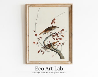 Vintage Birds Perched on Tree Branch Painting. Instant Download Printable Wall Art. Bird Painting. Birds Decor Wall Art Prints. Birds Poster