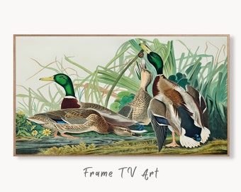 Samsung Frame TV Art 4K Tropical Bird Vintage Duck Painting. Mallard Duck Samsung TV Art. Digital Download. Nature Art for Samsung Frame TV