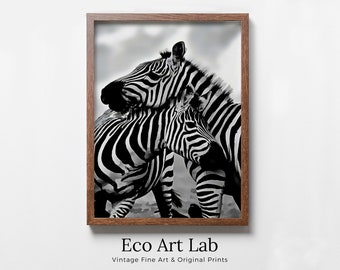 Zebra Love Black and White Printable Wall Art. Zebra Digital Print Black and White Art Downloadable Art. Safari Animals Print