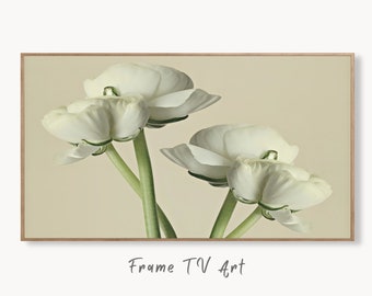 Samsung Frame TV Art 4K White Buttercups Flowers Photography. Instant Download Floral Art for Frame TV. Minimalist Botanical Decor