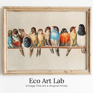 Pájaros posados en pintura vintage de rama. Descarga instantánea de arte de pared imprimible. Pintura de pájaros. Impresiones de arte de pared con decoración de pájaros. Póster de pájaros #1