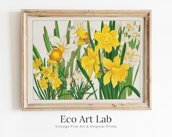 Vintage Japanese Botanical Art Daffodil Flowers Painting Printable Wall Art. Floral Decor Antique Japanese Art. Botanical Print Wall Art