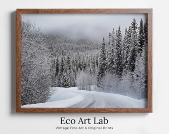 Winter Forest Trail Landscape Digital Painting. Printable Wall Art. Home or Office Decor. Nature Print Digital Winter Art. Instant Download