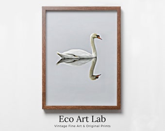 Swan Printable Wall Art, Home or Office Decor, Bird Painting Nature Print Digital Art Download
